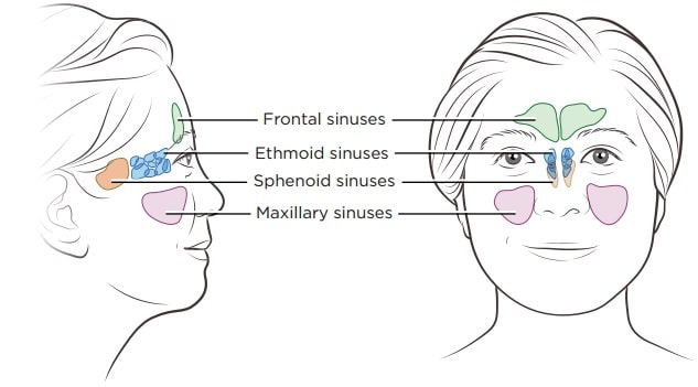 sphenoid sinus tumours